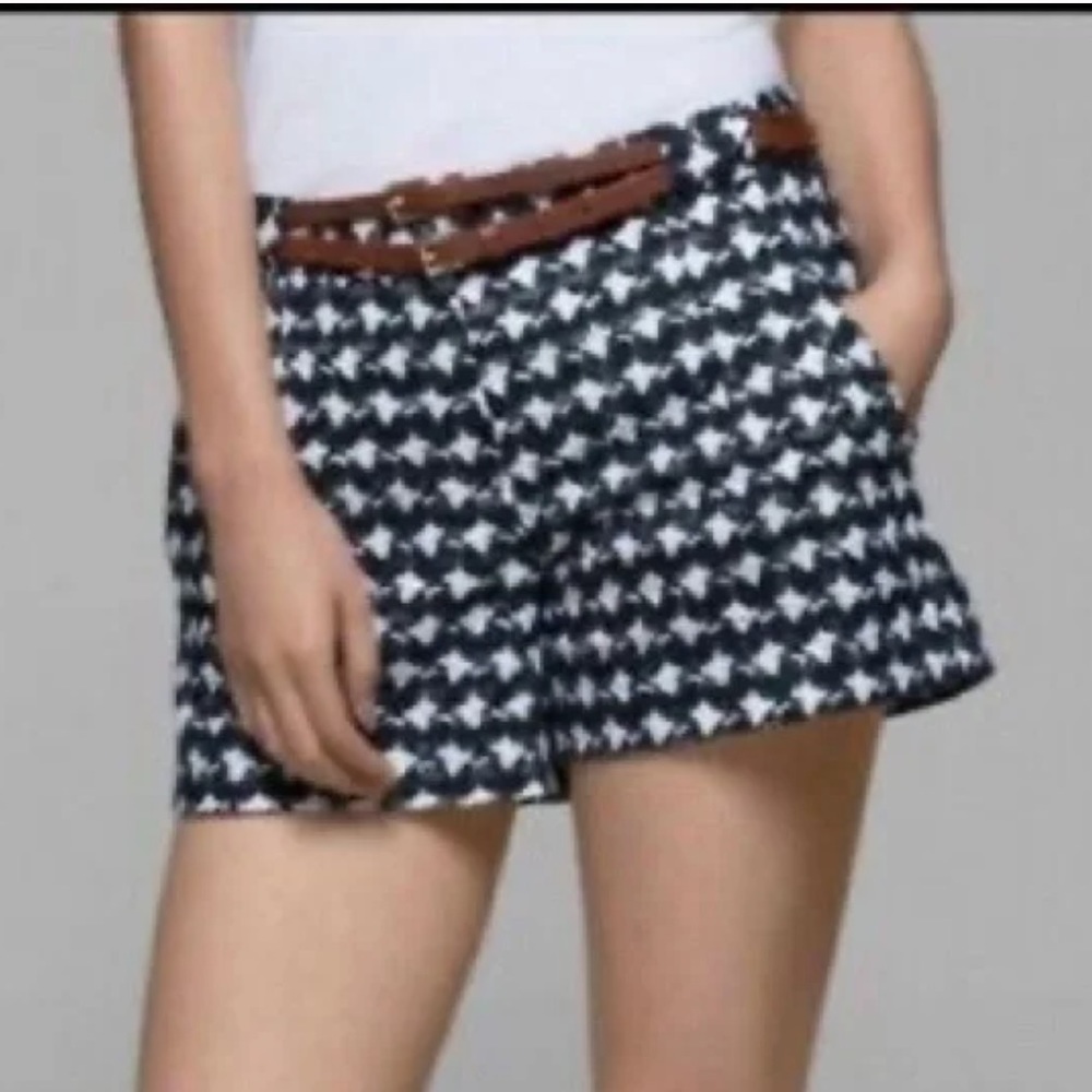 Theory Embroidery Navy & White Shorts